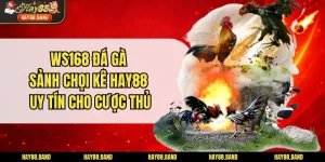 WS168 Đá Gà - Sảnh Chọi Kê HAY88 Uy Tín Cho Cược Thủ